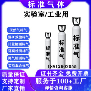 标准气体标气环境监测气体检测仪新国标尾气检测设备标定厂家直销