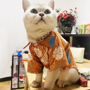猫咪衣服夏季清凉沙滩衬衫风布偶蓝白金渐层薄款狗狗夏天防晒衬衫