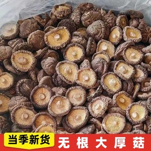 新货西峡香菇干货250g 黄焖鸡专用冬菇蘑菇农家特产厚菇商用包邮