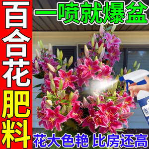 百合花专用肥球种肥料香水百合黄天霸盆栽水培植物遇水开花营养液