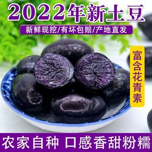 山东特产黑土豆新鲜黑金刚紫色大马铃薯乌洋芋小土豆富含花青素20