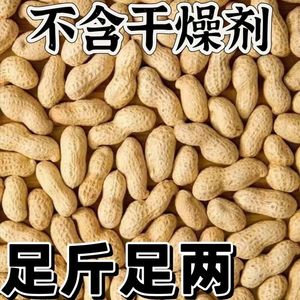 2023新鲜生花生带壳红皮花生米生新货衣原味炒熟农家花生种子籽