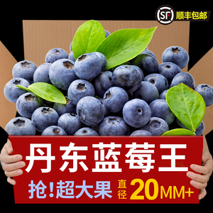 丹东蓝莓新鲜当季水果蓝梅鲜果甜蓝莓孕妇即食特大果8盒顺丰包邮