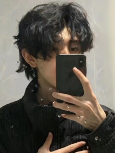 瑞贝卡羊毛卷假发男生韩版帅气自然蓬松锡纸烫日系男士短发小卷毛