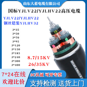 高压8.7/15KV10国标YJLV22铝合金YJLHV23钢丝铠装电缆线3芯70平方