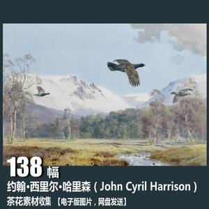 约翰 哈里森 ohn Cyril Harrison 电子图片 鸟类风景水彩画素材