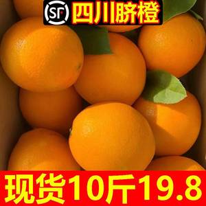 四川金堂脐橙水果橙子新鲜果冻橙当季冰糖甜褚橙产地直发10斤手剥