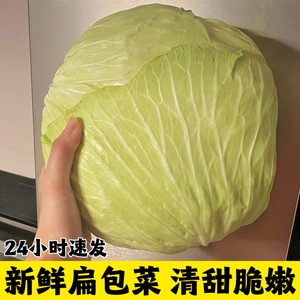 新鲜扁平包菜5斤莲花白菜农家自种绿甘蓝卷心菜生吃蔬菜沙拉包邮