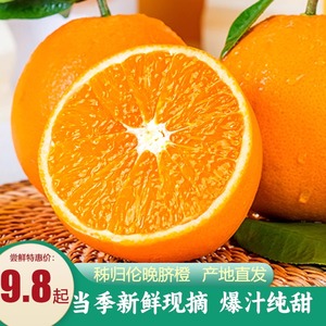 湖北宜昌秭归伦晚脐橙10斤装大果纽荷尔橙子新鲜当季水果柑橘整箱