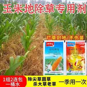玉米地除草专用剂玉米苗后除草烂根剂烟嘧磺隆玉米除草济玉米农药