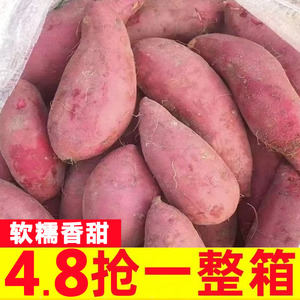 河南蜜薯10斤糖心红薯新鲜沙地番薯西瓜红一点红烟薯地瓜农家自种