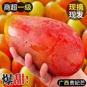 广西贵妃芒10斤超甜新鲜芒果水果当季树上熟红金玉青煌大辣椒台芒