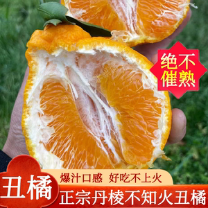 四川丹棱丑橘柑橘丑八怪丑柑鲜甜多汁现摘直发包邮当季水果