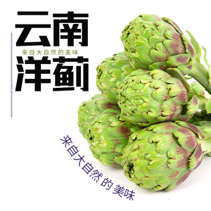 洋蓟新鲜3斤包邮法国百合Artichoke1500g 现摘现发云南曲靖朝鲜蓟