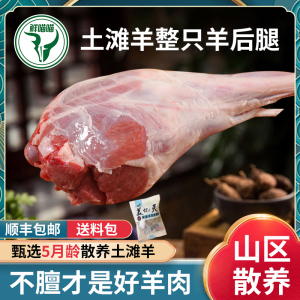 羊腿新鲜整只现杀去骨生羊腿宁夏滩羊肉内蒙古羊小腿切块羔羊后腿