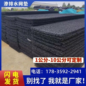 土工席垫网垫复合网状交织板渗排水片材塑料排水网3公分反滤层