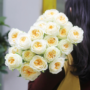 诺斯沃德高端玫瑰花鲜花奶油杯云南直发室内插花黄色玫瑰鲜切花