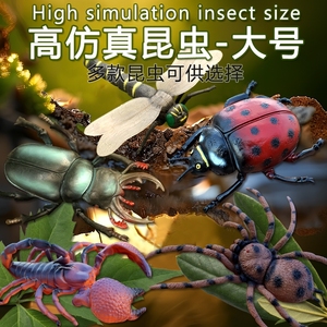 儿童仿真昆虫模型动物玩具七星瓢虫独角仙蜻蜓蜘蛛礼物软胶关节