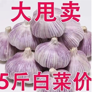 当季干大蒜5斤大蒜头山东新鲜蒜皮蒜干蒜头2024蔬菜批发蒜籽现挖