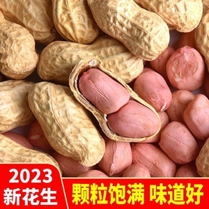 生花生带壳2023年粉红皮花生米生新鲜晒干种子原味现炒熟散装5斤