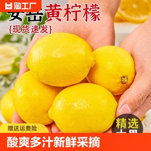 四川安岳黄柠檬新鲜水果皮薄精选香水甜青柠檬小金桔特产鲜柠檬
