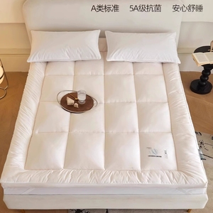 IKEA宜家五星级酒店床垫软垫家用加厚保暖垫被褥子铺底床褥垫可折