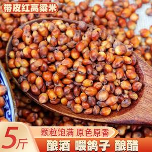 带皮红高粱米5斤 去壳未脱皮红高梁酿酒高粱喂鸽子饲料散装包邮