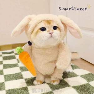 变装直立兔衣带跳胡萝卜兔子搞怪同款兔可爱搞笑衣服宠物抖音猫咪