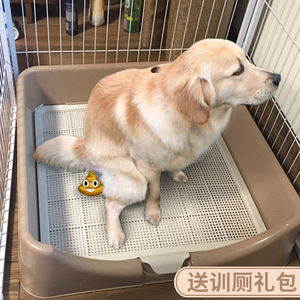 日本MUJIE宠物狗狗厕所大号拉屎拉布拉多狗便盆专用尿盆神器中型