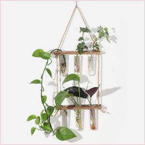 一排花瓶水培绿植装饰品悬挂式绿箩水养挂壁透明玻璃试管花瓶创意