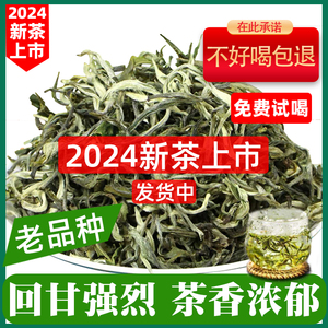 云南春尖绿茶2024年明前特级新茶 毛尖浓香型500克高山滇绿自己喝