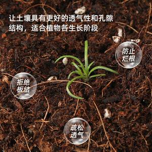 君子兰适用土5斤装夜香兰适用营养土疏松透气弱酸性绿植土