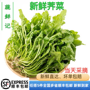 新鲜荠菜500g 野菜农家蔬菜现挖香荠菜新鲜菜馄饨饺子馅食材