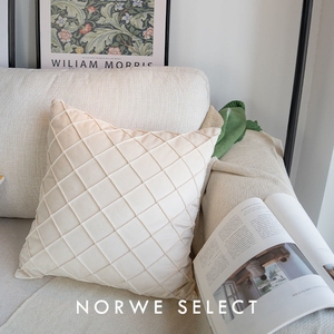 轻奢抱枕ins北欧风白色绿色沙发靠垫抱枕套现代床上客厅靠枕腰靠