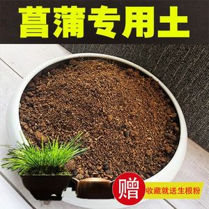 菖蒲专用土盆栽酸性沙质泥炭红土壤菖蒲盆景营养土绿植种植土肥料