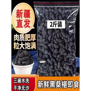 新疆黑桑葚干烘焙无沙桑子干槡葚子桑仁桑甚果500g即食免洗商用