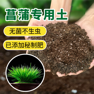 菖蒲专用营养土金钱虎须专用土庭院盆栽肥料花泥土植物有机土壤