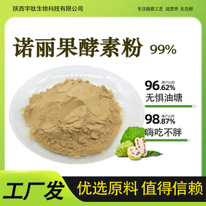 诺丽果酵素粉99% 诺丽果提取物 水果酵素粉 诺丽果浓缩粉厂家现货