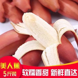 新鲜红皮香蕉美人蕉孕妇水果红肉香蕉当季红色香蕉整箱大香蕉包邮