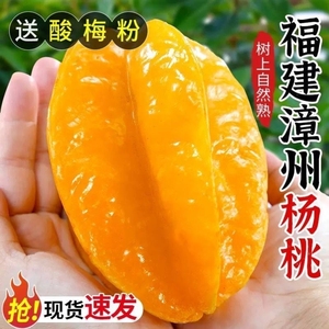 福建漳州甜杨桃树上熟甜5斤整箱洋桃应当季新鲜水果红扬桃五角星