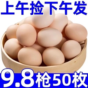 40个正宗散养土鸡蛋现捡新鲜草鸡蛋柴鸡蛋笨鸡蛋笨鸡蛋整箱包邮价