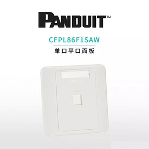 泛达PANDUIT单口双口网络信息平口面板 RJ45超五类六类千兆模块