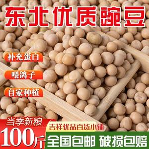 当季豌豆10斤20斤高蛋白鸽子饲料鸽料白豌豆黄豌豆优质豌豆鸽新鲜