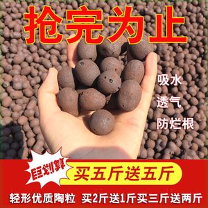 铺面垫底疏水透气陶碳球花卉盆栽水培回填轻质球园艺防烂根陶粒