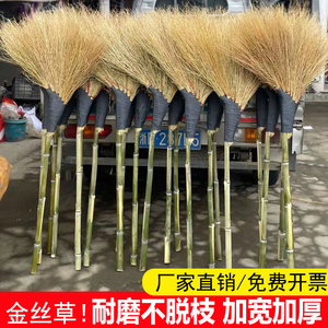 金丝草竹扫把铁扫把苗环卫院子工厂户外马路专用温州观音草竹扫帚
