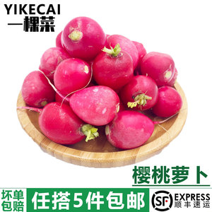【YIKECAI】樱桃萝卜500g 迷你小红萝卜 菜新鲜蔬菜小圆萝卜