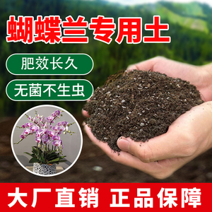 蝴蝶兰专用土胡蝶兰肥料营养土黑土室内种花泥土园艺通用酸性养花