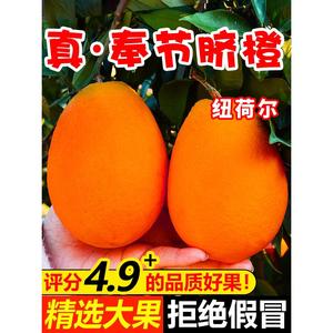 重庆奉节脐橙纽荷尔福本新鲜水果当季橙子现摘10斤20当季大果