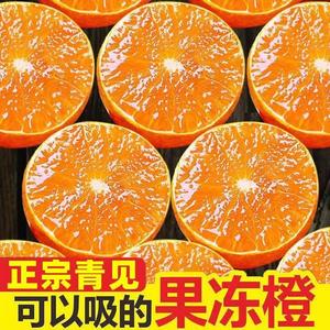 2024四川青见果冻橙柑正宗橘新鲜当季水果10斤桔子正宗丑耙粑橘子
