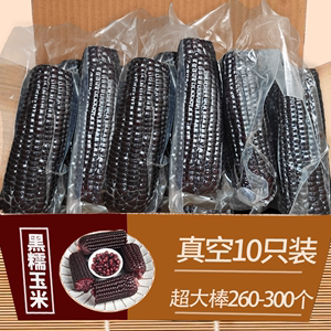 黑糯玉米真空包装10根新鲜甜糯玉米棒子开袋加热非即食粗粮黑玉米